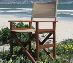 cobe directors chair 1